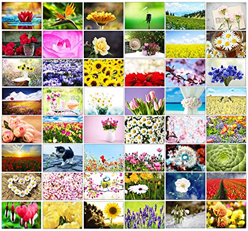 48 Blanko-Grußkarten mit Fotos im Landschafts-Design: 48 helle und fröhliche Blumen Cover