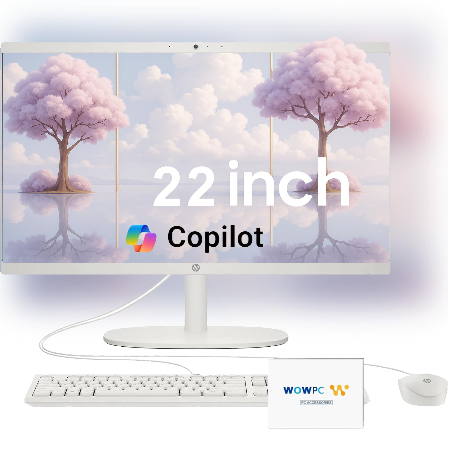 Amazon.com: HP 22