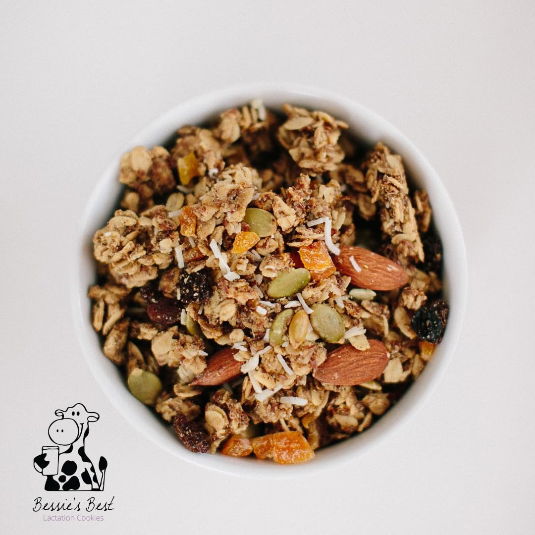 Bessie’s Best Lactation Granola | Lactation Support | Milk Boosting Cookie Alternative | Nursing Snacks | Breastmilk Boosting | Increase Milk Supply | Breastfeeding Snacks | 1 lb Bag