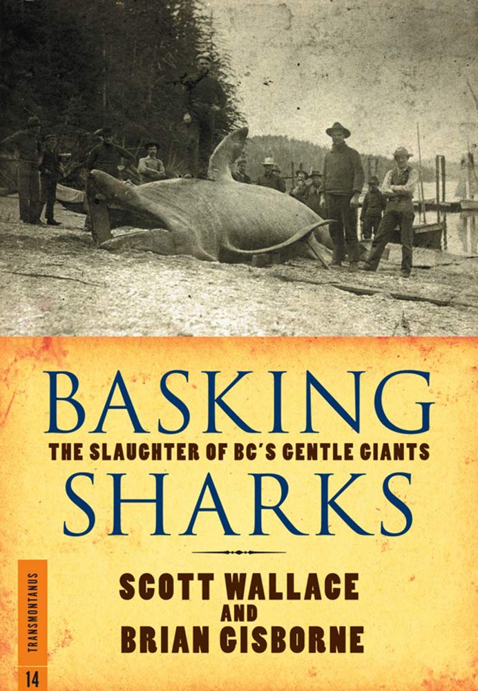 Basking Sharks: The Slaughter of BC's Gentle Giants