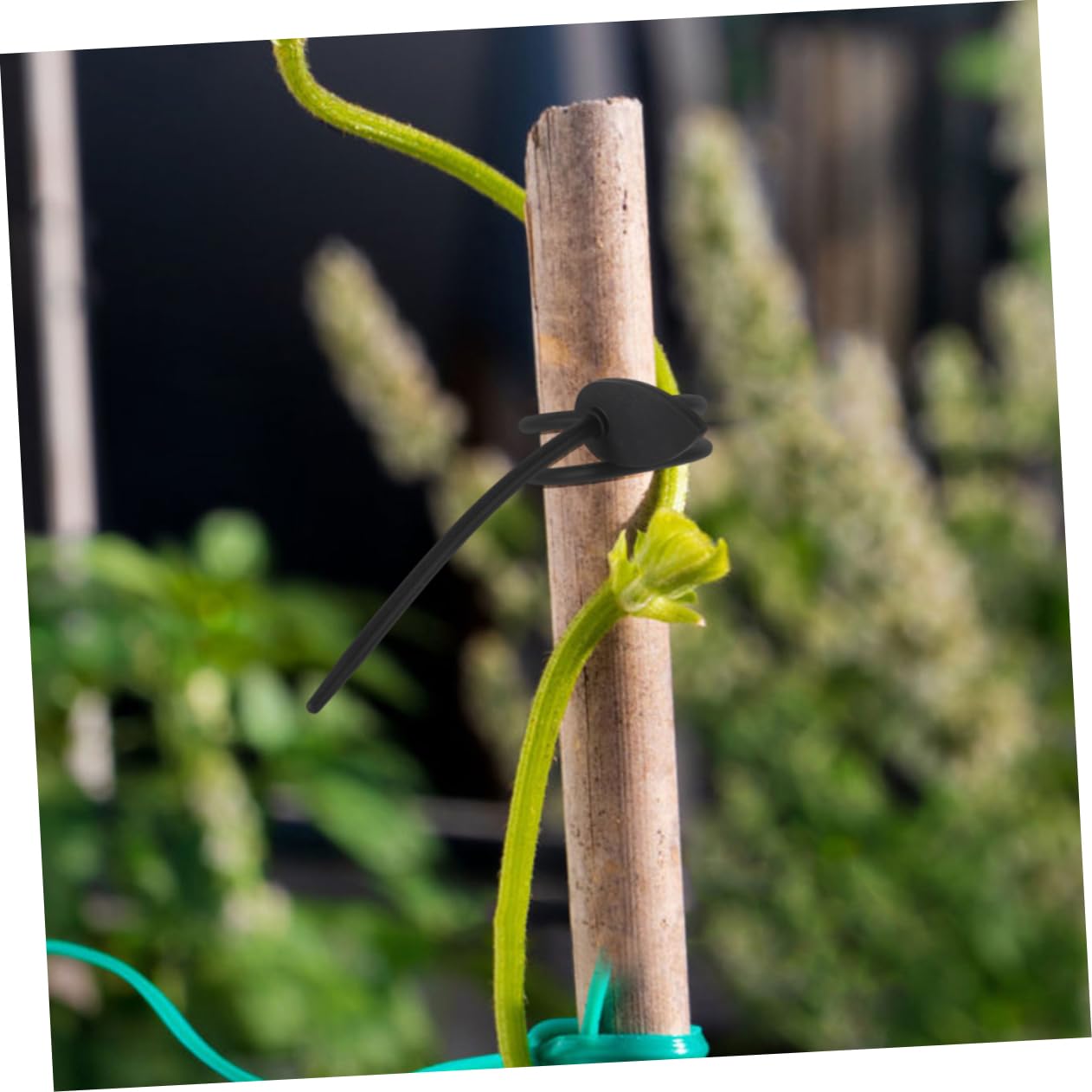 Toyvian 4 Set Fermacavi Silicone Legature Decorative per Piante E Giardinaggio Riutilizzabili E Regolabili per Supportare E Piante 8 Pezzi*4