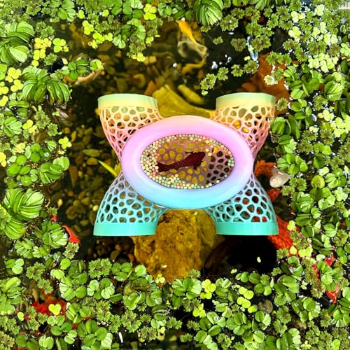 Aquarium Floating Betta Fish Log, Hide Tunnel and Hammock Toy, Small Fish Or Shrimp Hide Resting Cave, Floating Feeder, Feeding Ring, Tank Accessories Decoration (Gradient Color)