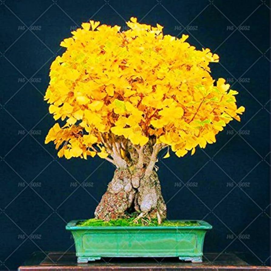 【kobe plants】 Nike Kobe 5 Protro 