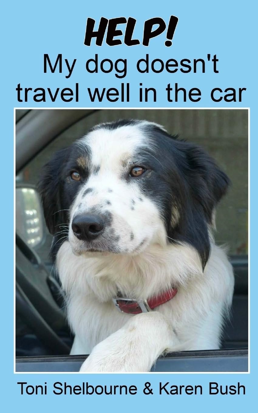 Help! My dog doesn't travel well in the car