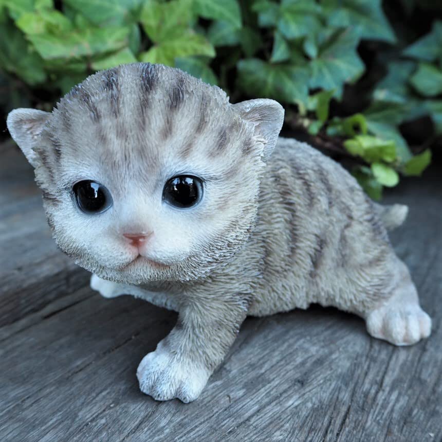 Amazon.co.jp: 猫の置物 アメショ 子猫 1225QYL アメリカン