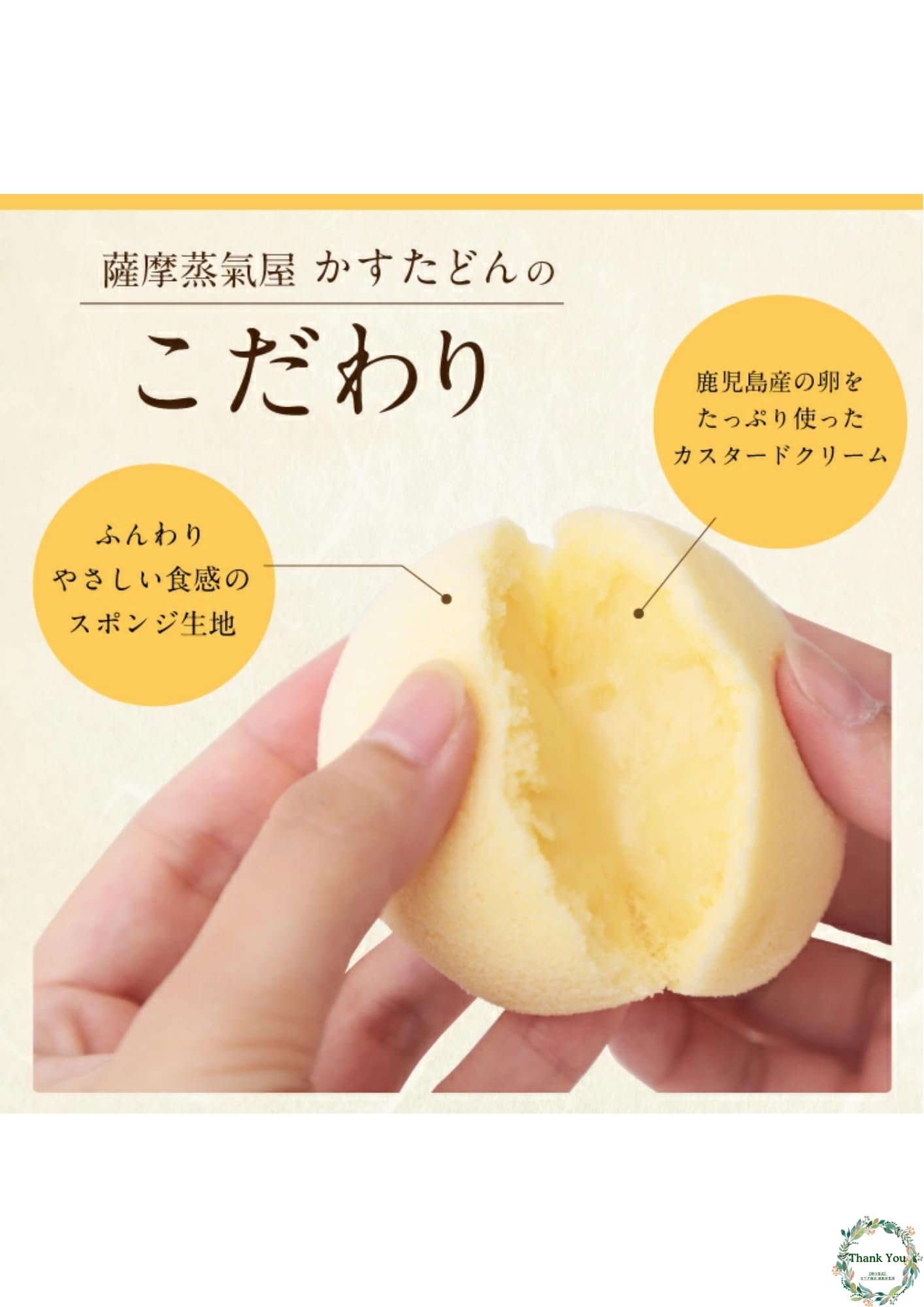 Amazon.co.jp: 【 薩摩蒸気屋 】 かすたどん （10個入） 鹿児島 土産