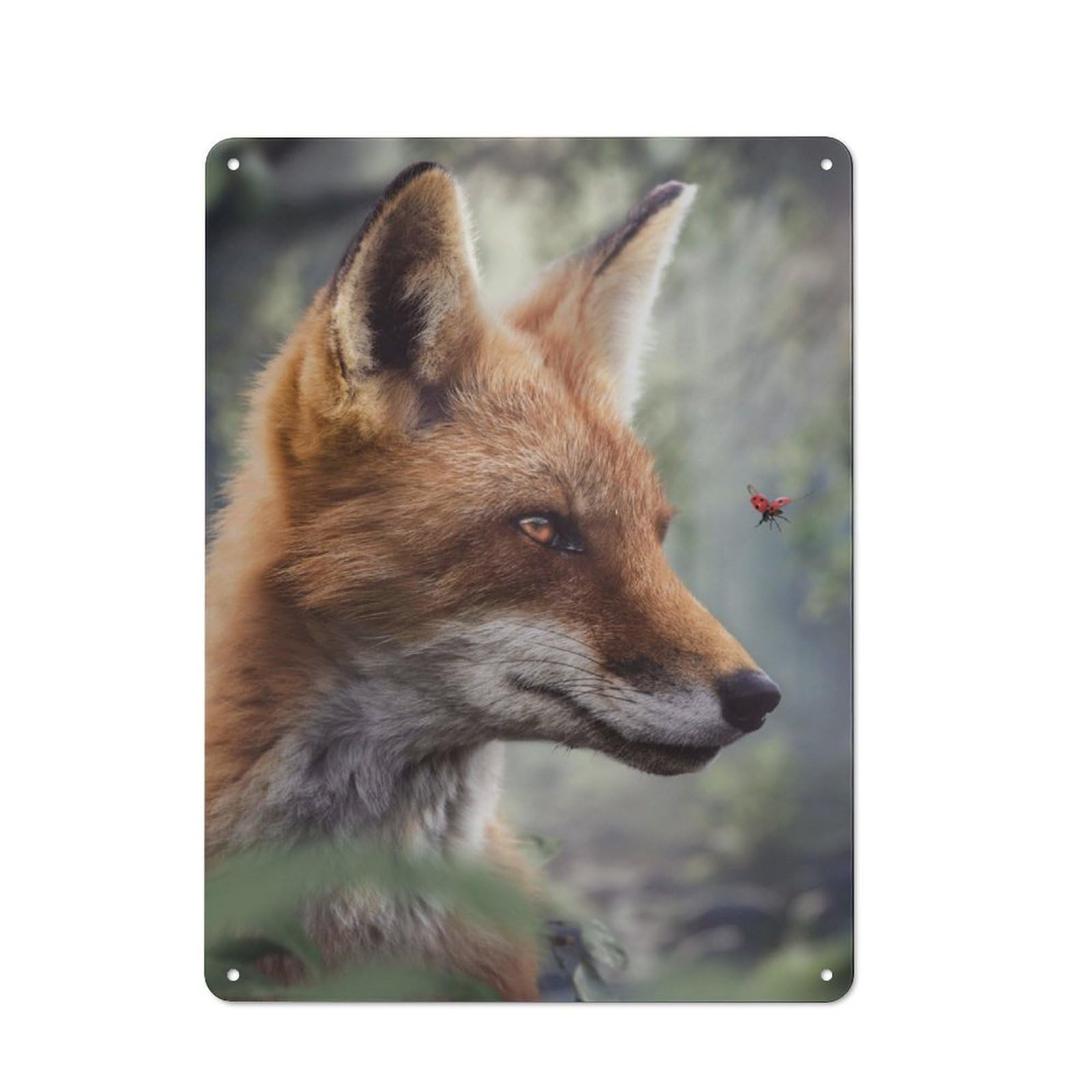 Junmoney Fox Watching A Ladybug Tin Wall Plaque 40X30cm With For Man Cave Or Games Room, For Garage, Workshop And Man Cave Decoration