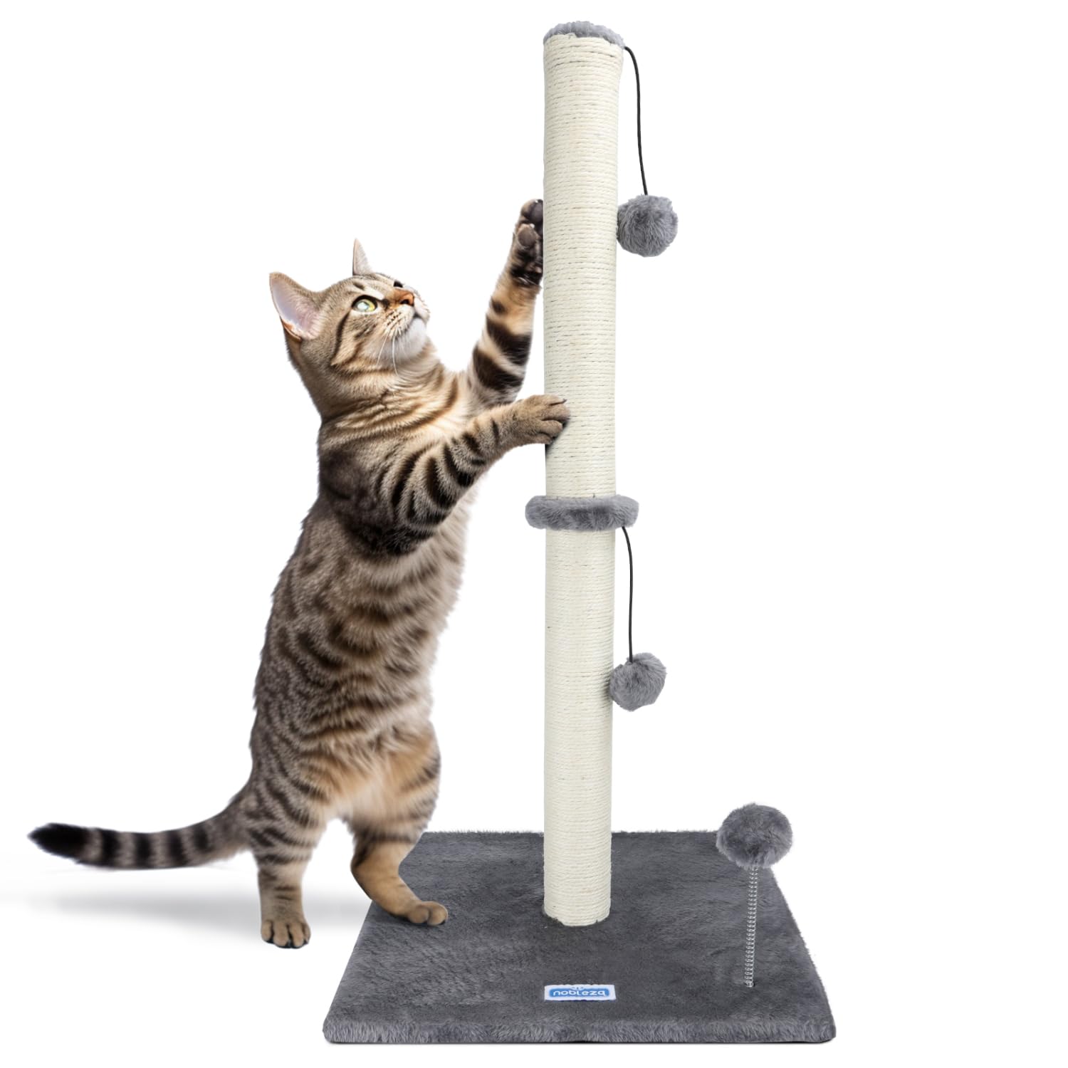 Nobleza Rascador para Gatos, Altura 80 cm, Poste de Rascador para Gatos Medianos y Grandes, Cat Tree con Bola de Juguete Colgante y Pompón de Muelle (Gris)