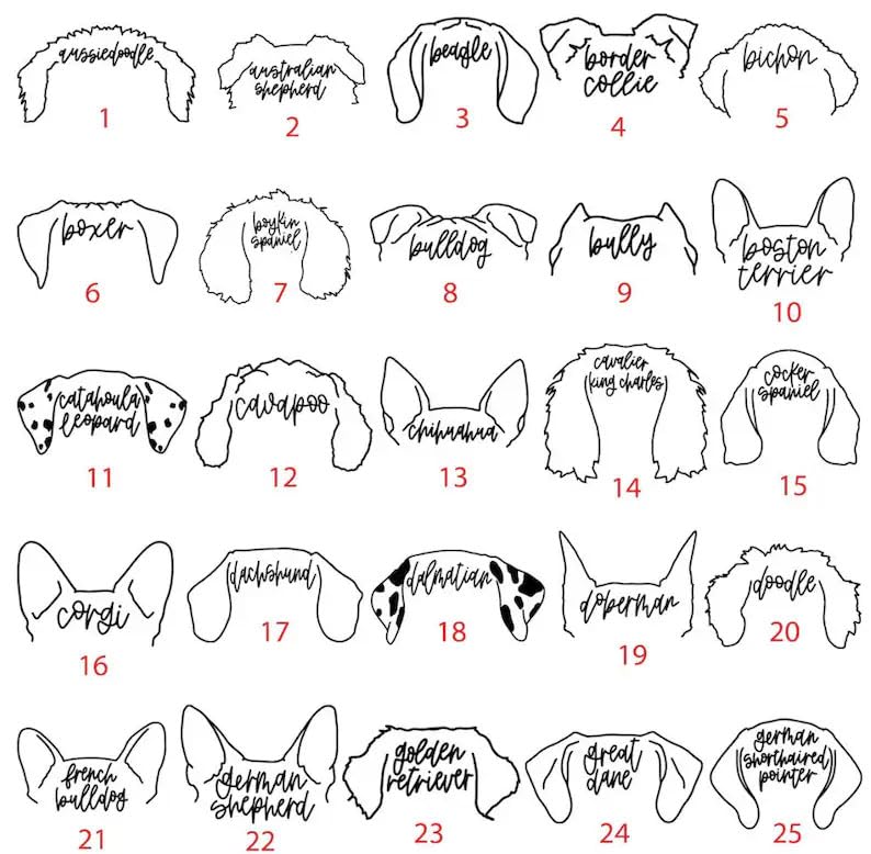 Custom Dog Embroidered Shirt, Custom Dog Ears Crewneck, Dog Lover Shirt, Dog Mama Shirt, Custom Pet Shirt, Personalized Embroidered Shirt2