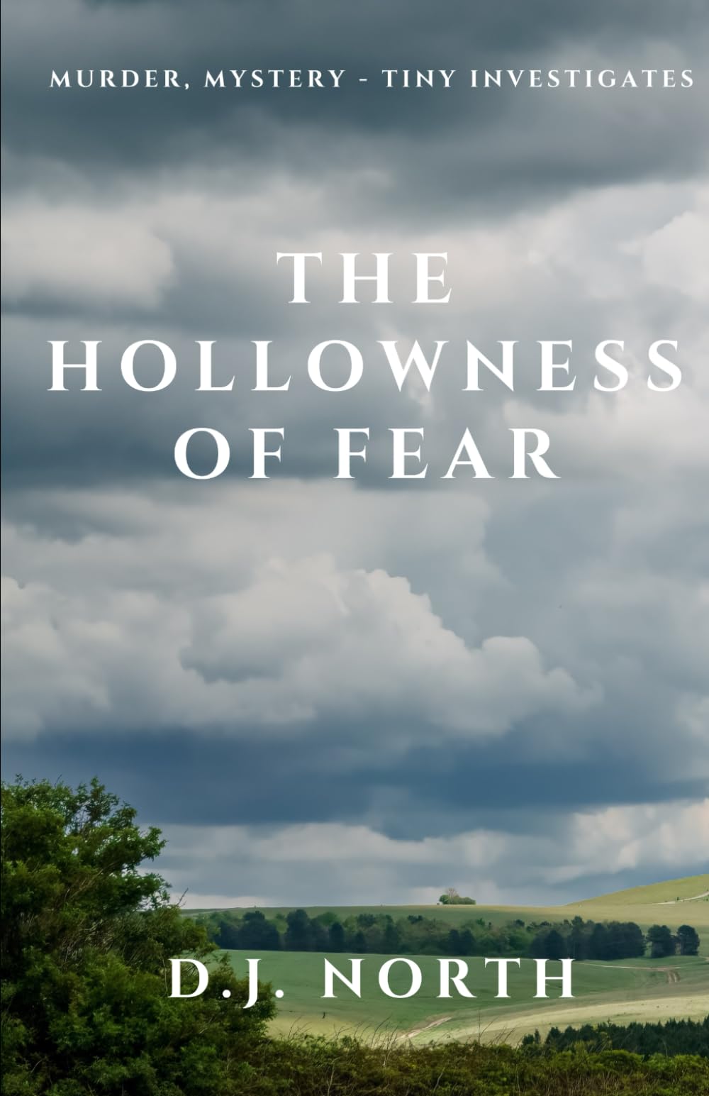 The Hollowness of Fear: Murder, mystery - Tiny investigates: 2