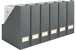 BLU MONACO Set of 6 Magazine Organizers and Storage