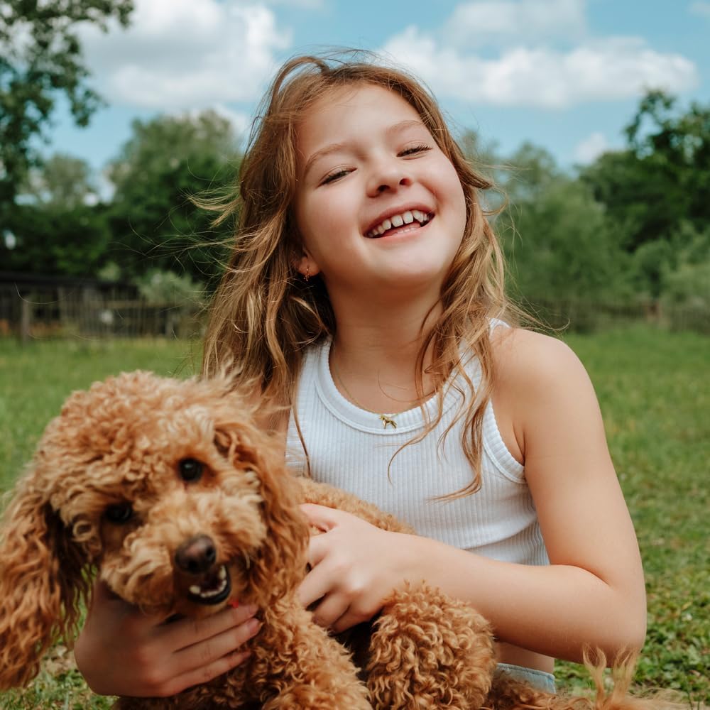 MUSTHAVE 18K Gold Plated Dog Pendant Necklace, Retriever, Dogmom, Dogperson, Necklace for Women, Simple, Dainty, Anchor Chain, 16+2 inch Extender (Yellow Gold) - Image 5