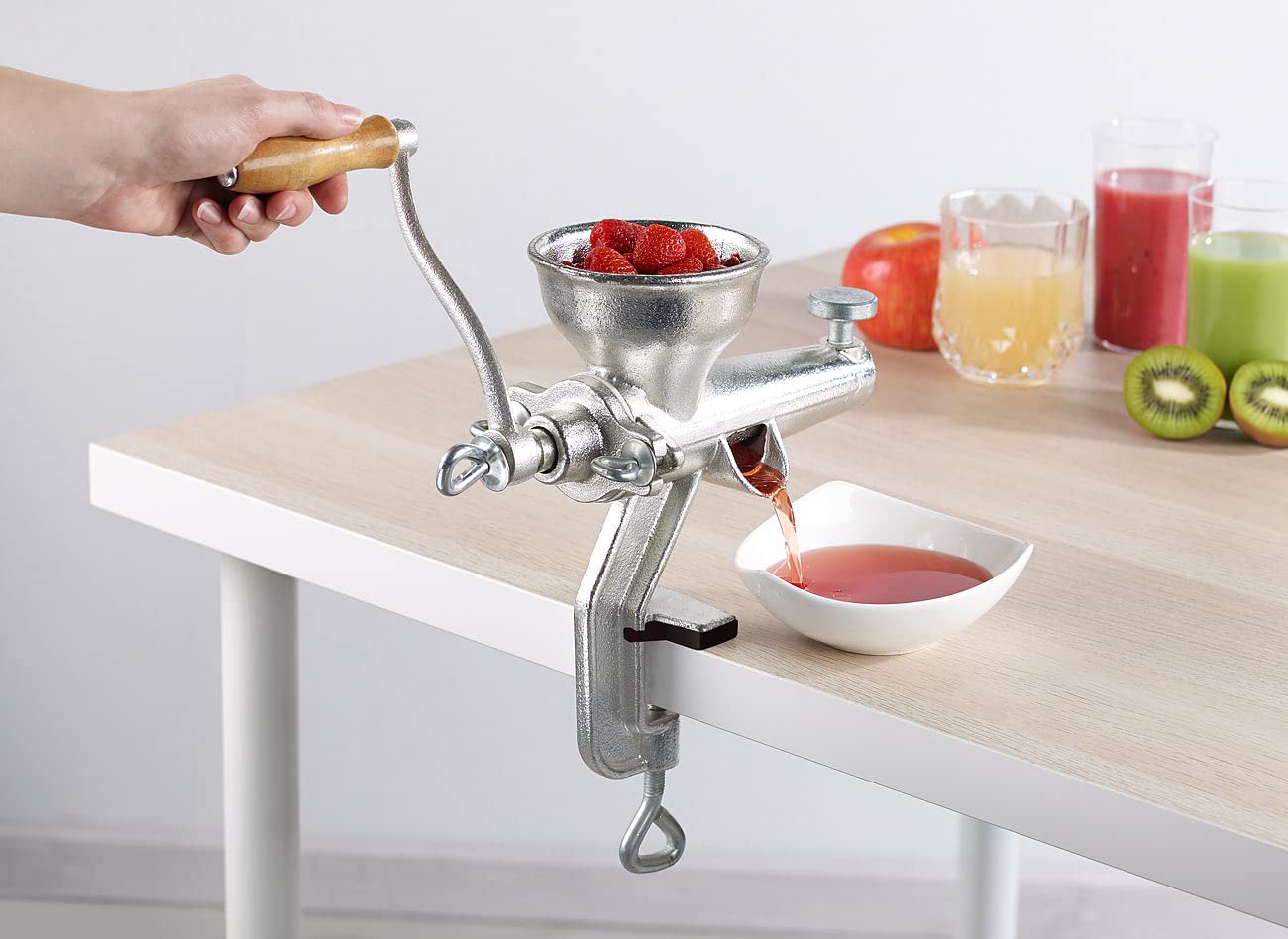 Extracteur de jus professionnel en fonte [Rosenstein & Söhne]