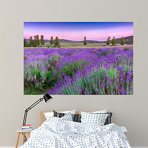 Wallmonkeys Sunset Over Summer Lavender Wall Mural Peel and Stick