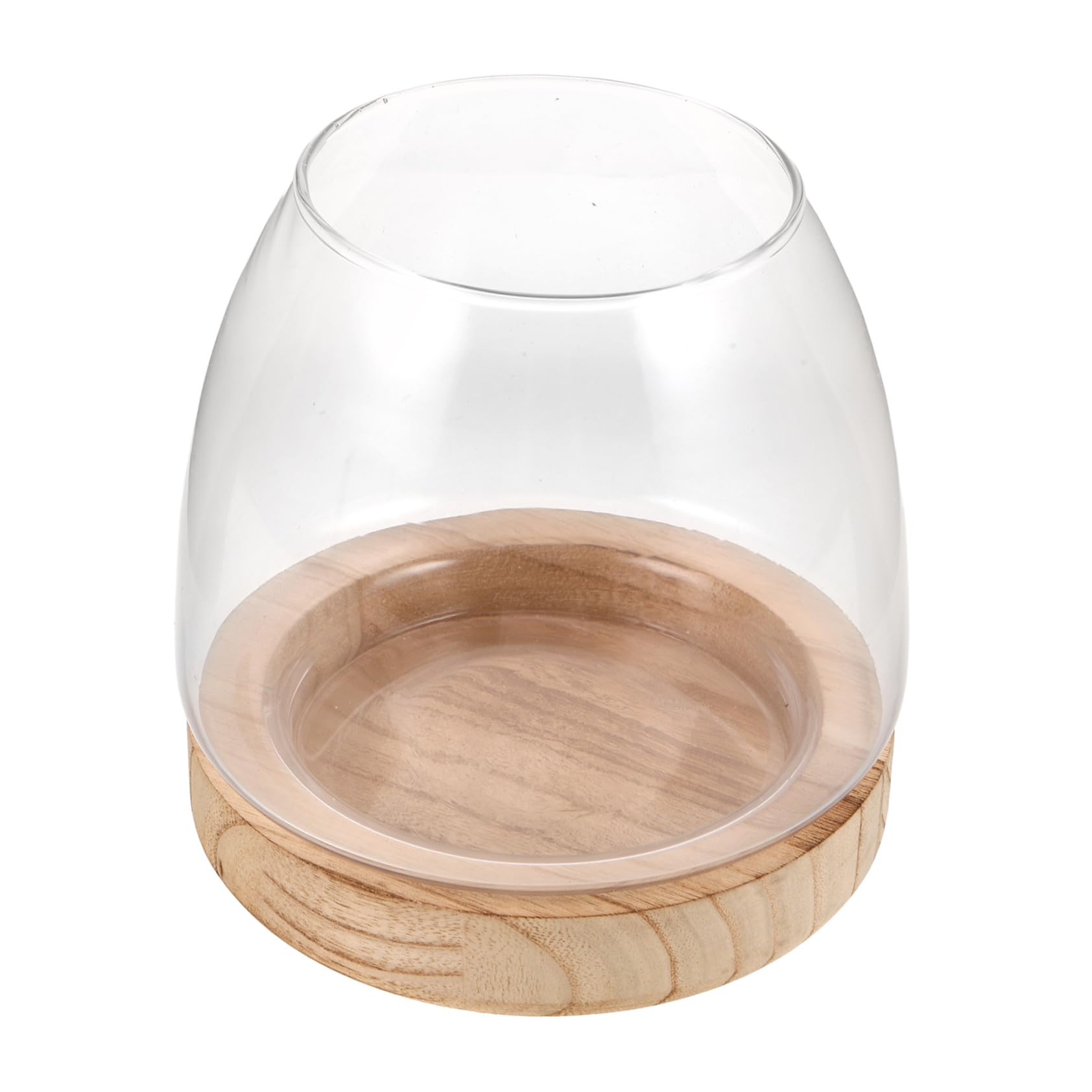 Cabilock Vase Hydroponique Verre avec Support Vase de Propagation Eau pour Plantes pour Maison et Bureau