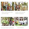 Product Photo 4