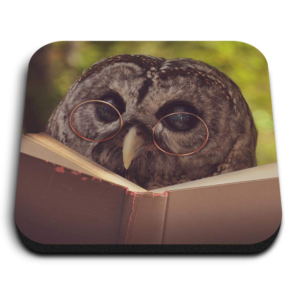 1 x Square MDF Fridge Magnet - Wise Barn Owl Reading Book Lover 46462