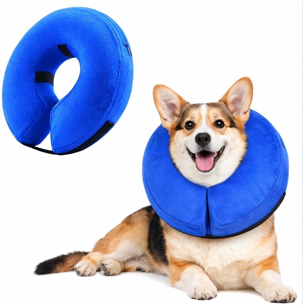 Inflatable Dog Cone Collar Alternative – Soft Recovery Donut E-Collar for Small, Medium, and Large Dogs & Cats After Surgery (Blue, S [8"-13"])