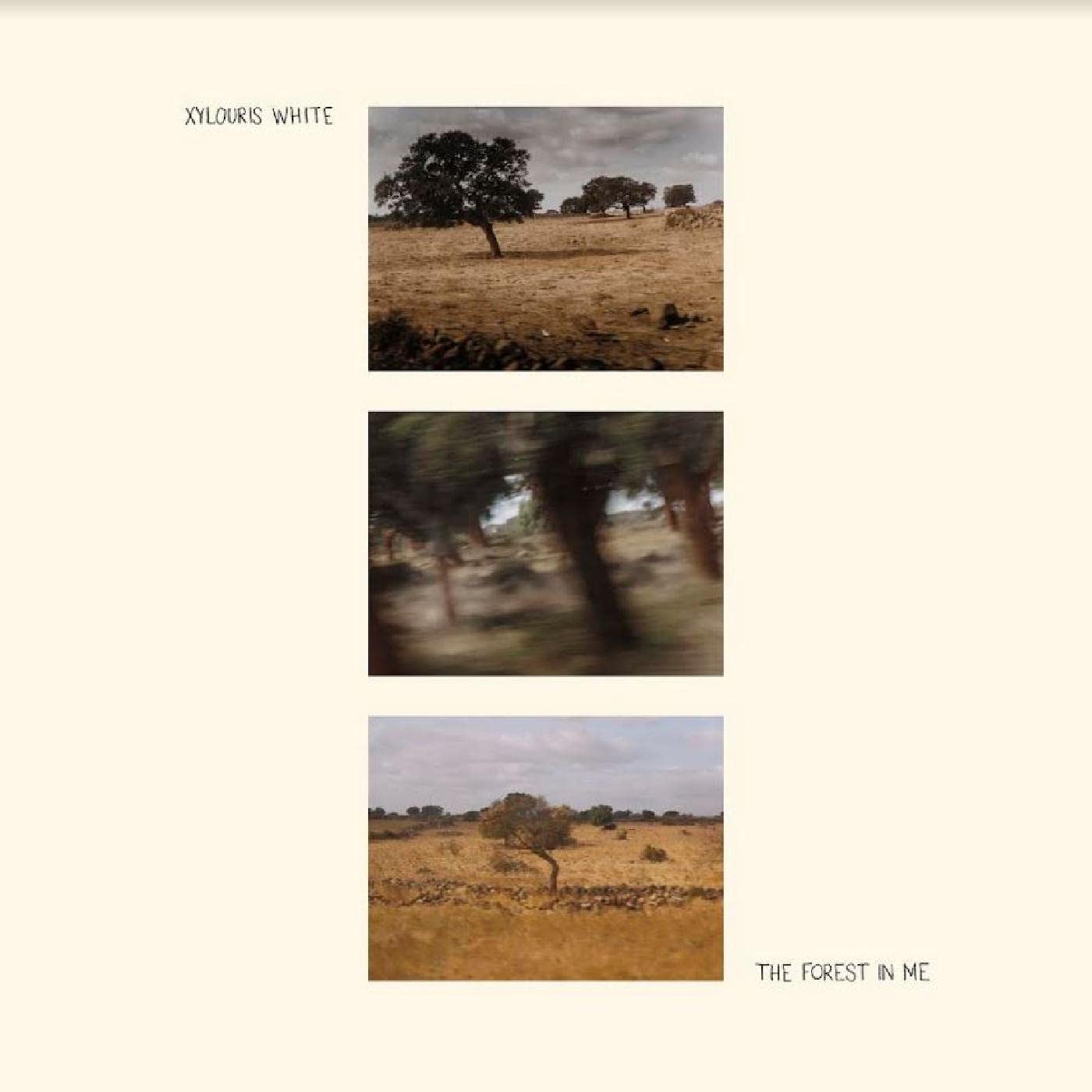 The Forest In Me [VINYL]