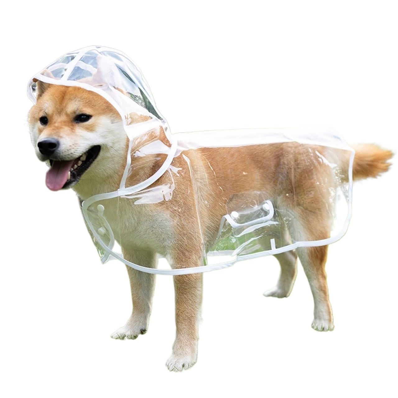 Manteau de pluie transparent pour chien vêtement imperméable avec capuche taille XXL blanc