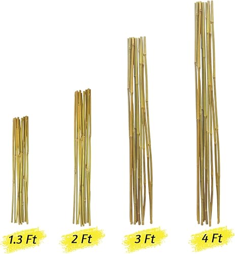 Miniatura 3 de YFZBAMOO Estacas de bambú para plantas de 3 pies, paquete de 50 estacas ecológicas, postes de bambú para plantas en maceta, soportes de bambú para