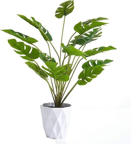 Miniatura 3 de SPKTCULR Monstera Ceriman Bonsái artificial de 20 pulgadas, planta de queso suizo pequeña en maceta sintética, árbol verde tropical para escritorio,