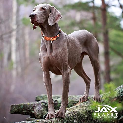 Miniatura 9 de Collar de Martingala colorido para entrenamiento de perros, collar reflectante seguro y humano para entrenamiento sin tirones, caminar, anillo en D