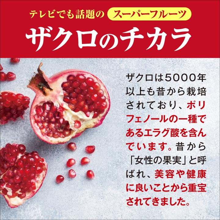 株式会社エルベ・プランズ ザクロスマート 31粒 機能性表示食品 BMI