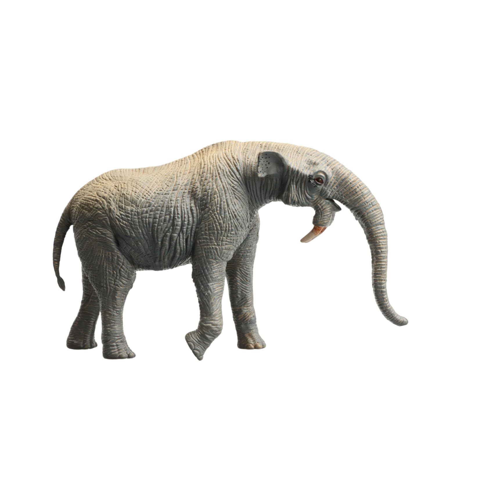 Amazon | Earth Story デイノテリウム ゾウ 更新世 動物