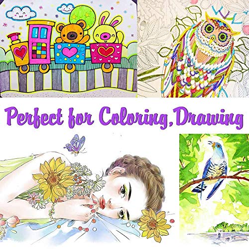 Feela 100 Colors Dual Tip Brush Pens With Fineliners Art Markers, Watercolor Dual Brush Tip And Highlighters For Adult Coloring Books, Art, Sketching, Calligraphy, Manga, Journal #TOP5