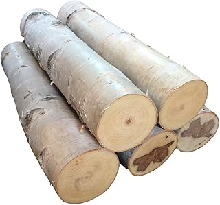 Large Birch Fireplace Log Set of Five