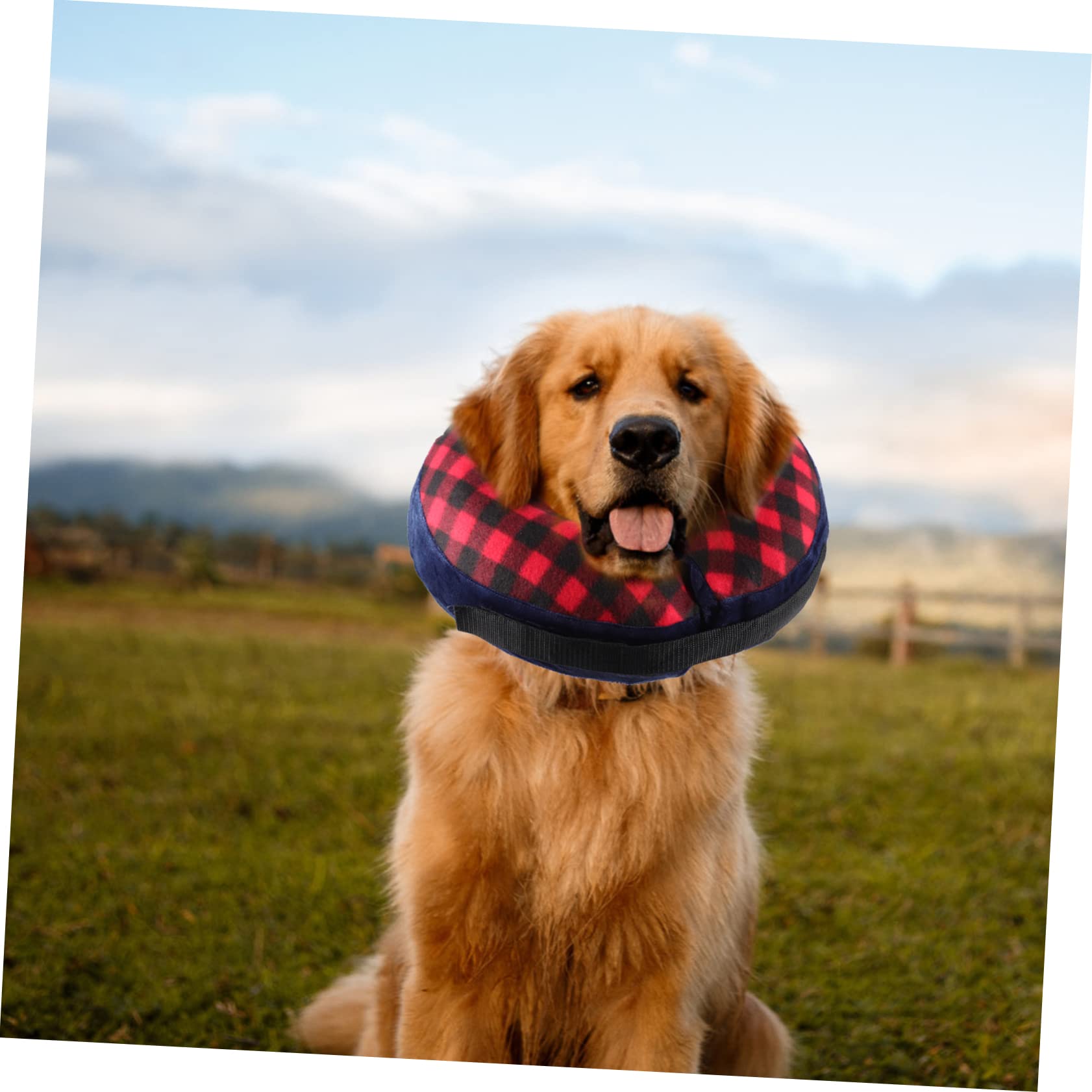 FRCOLOR 5piezas Collar De Inflable para Mascotas Collar Protector y Lavable Alternativa Cómoda para Perros y Gatos Después De Uso Baños y Acicalamiento