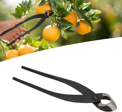 Miniatura 2 de Shanrya Bonsái - Cortador de ramas cóncavas de 11 pulgadas de longitud, herramientas de jardinería de acero al manganeso con mango ergonómico para