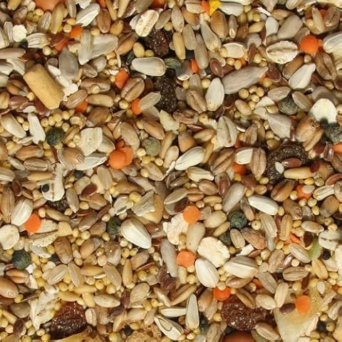 Tidymix Premium Quality Parrot Diet Seed Blend 2.3kg - Budgies Food, Premium Parrot Food, Budgies Seed Mix Blend, Parrot Pellets, Parrot Seed, Budgie Seed Mix - For Small to Medium Birds Cover