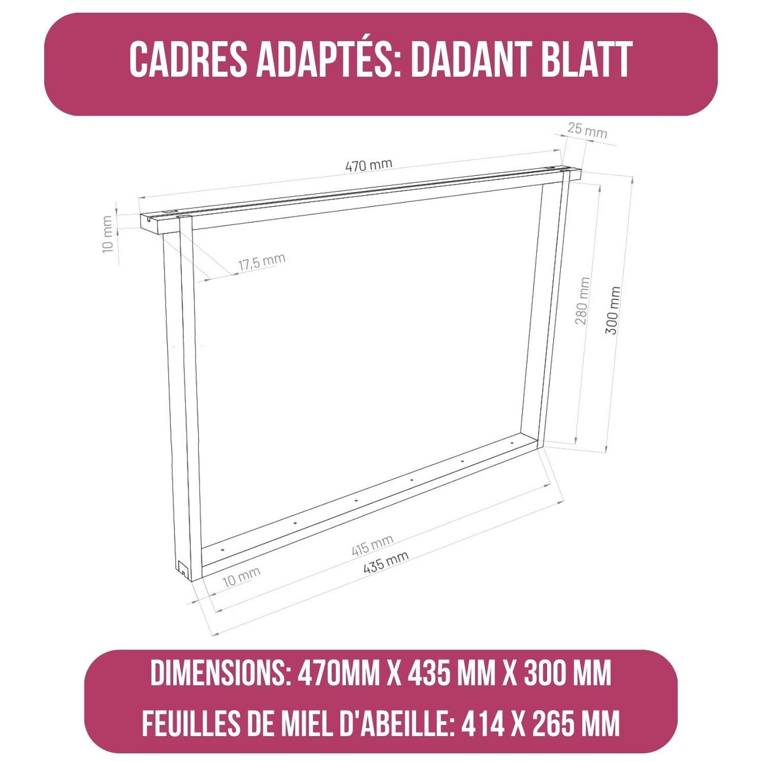 LYSON Kit Ruche d'abeilles Dadant Optima avec fond en plastique Varroa bas peint (rose foncé) - Demi-cadre: 40×47×15,8cm (dimensions intérieures) - Cadre: 40×47×29,5cm (dimensions intérieures)