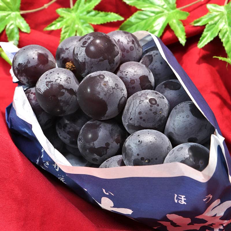 Amazon.co.jp: 大峰 藤稔ぶどう厳選 約700g～900g 特大1房 山梨県産