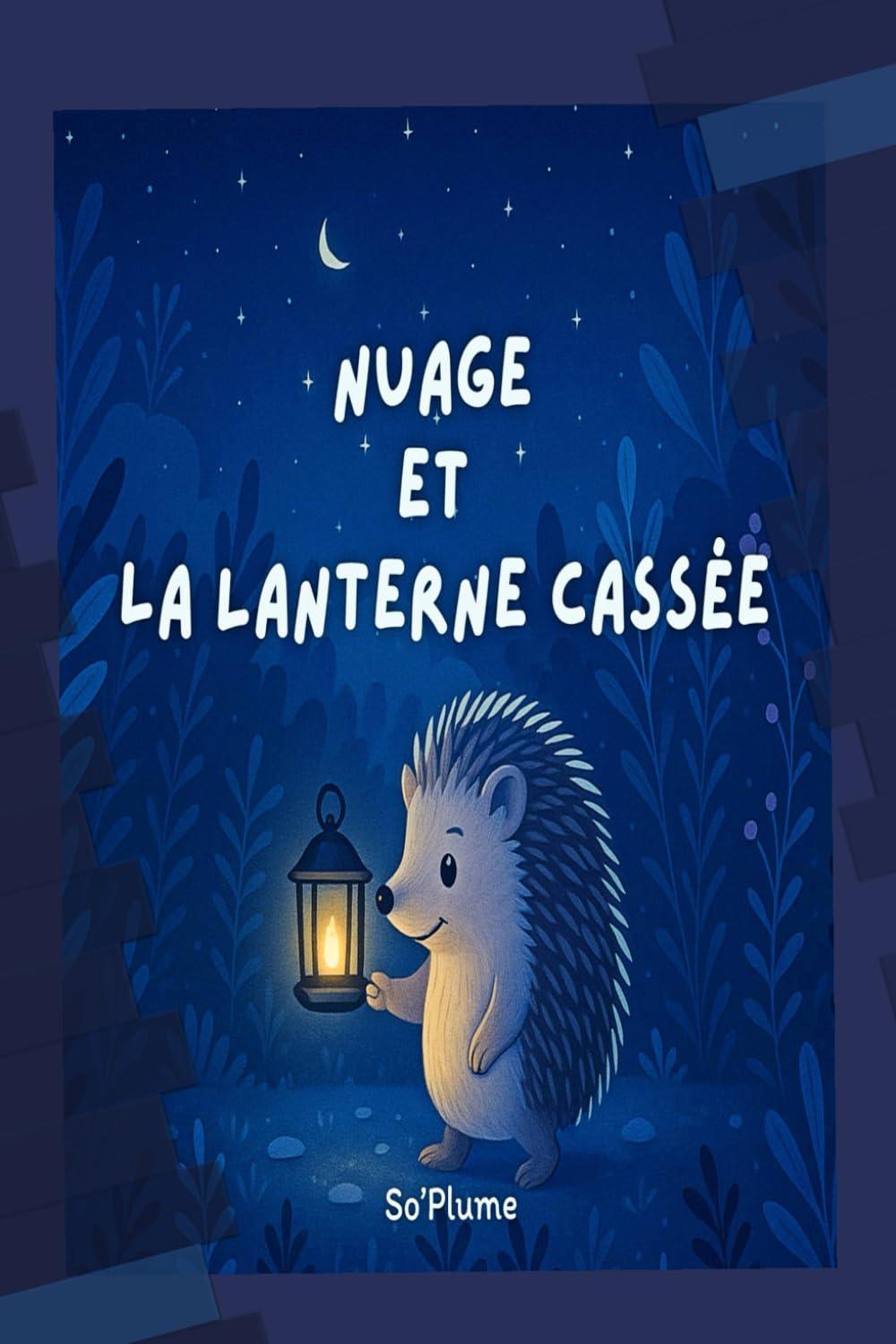 Nuage et la lanterne cassée (Nuage le hérisson curieux)
