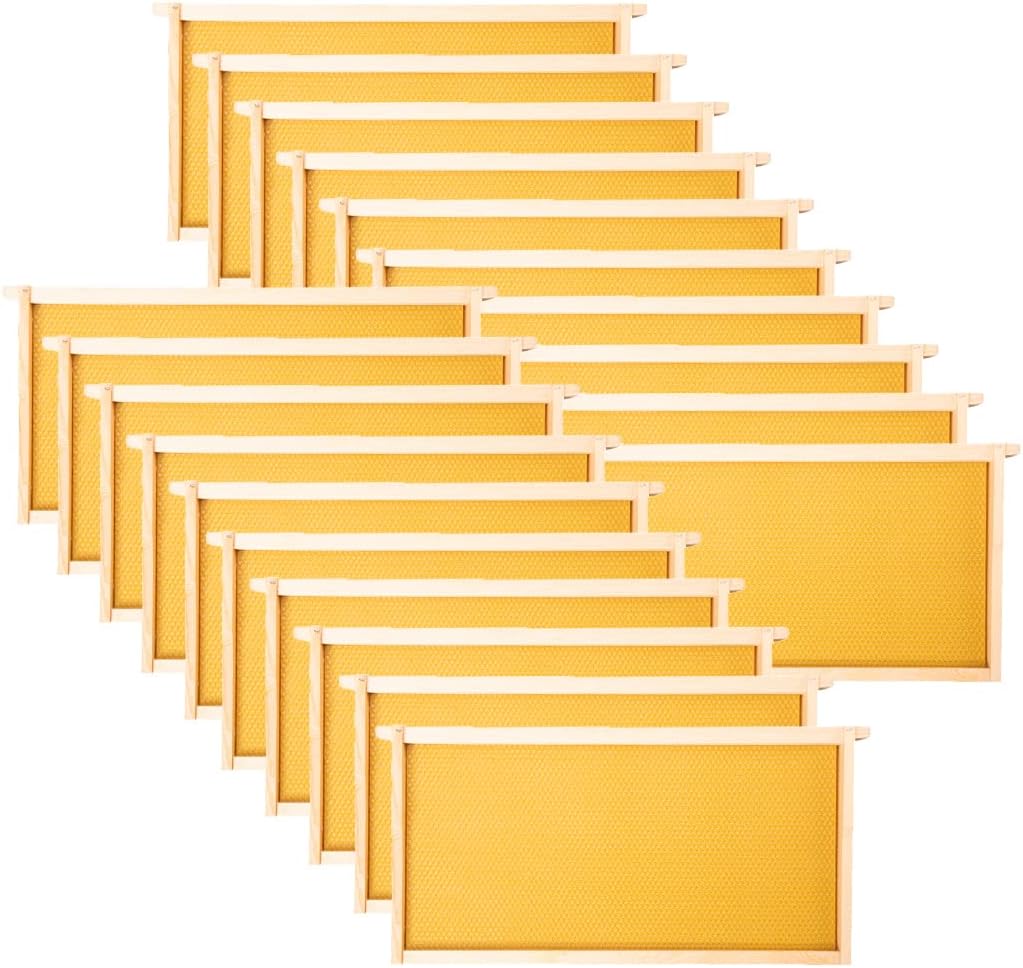 MayBee 20 Pack Honey Bee Frames with 100% Beeswax Coated Food Grade Foundation Sheets, Deep Beehive Frame for Beekeeping, 9-1/8-Inch(Yellow)