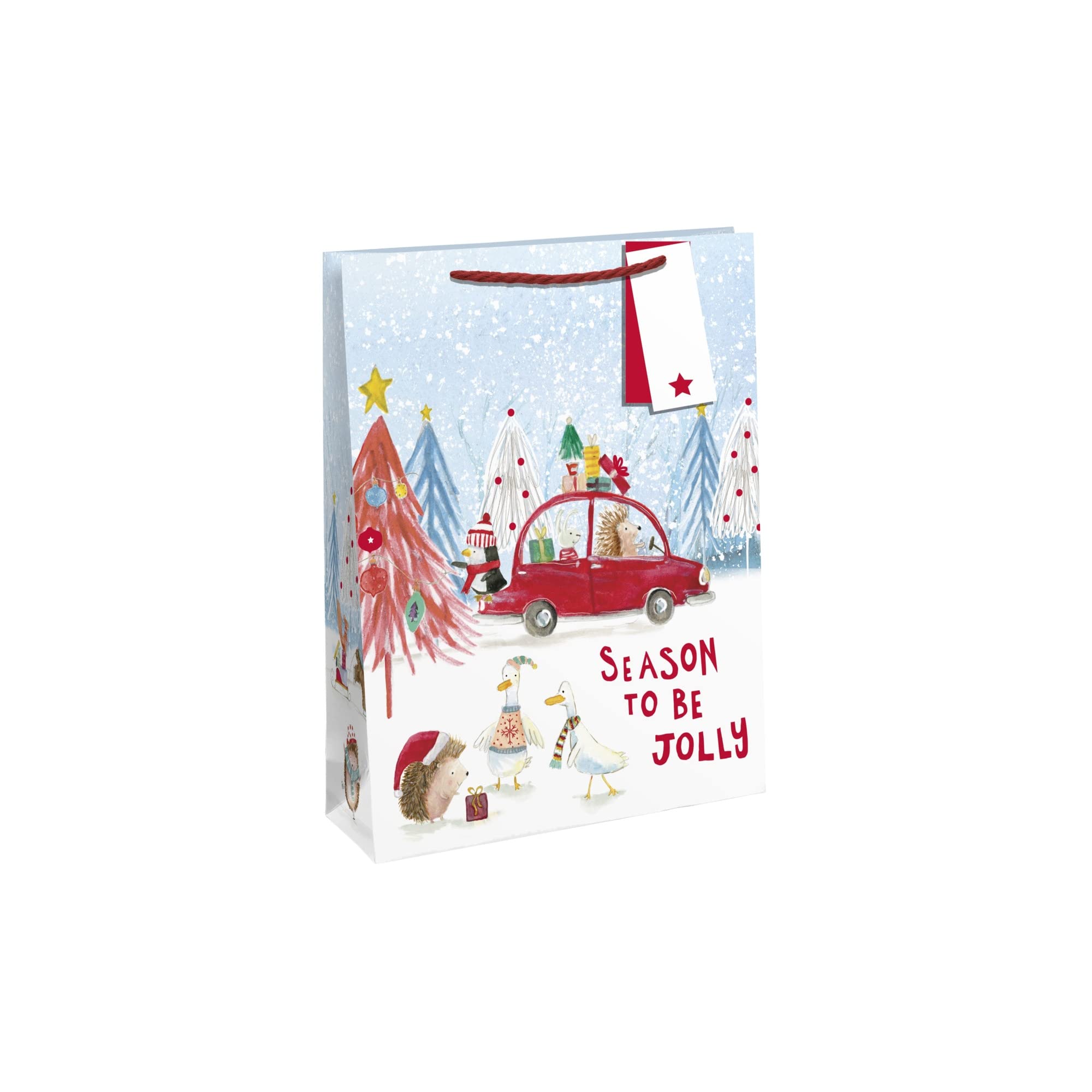 Eurowrap - Gift Bag (M) (Multicoloured), Multicolored, Medium