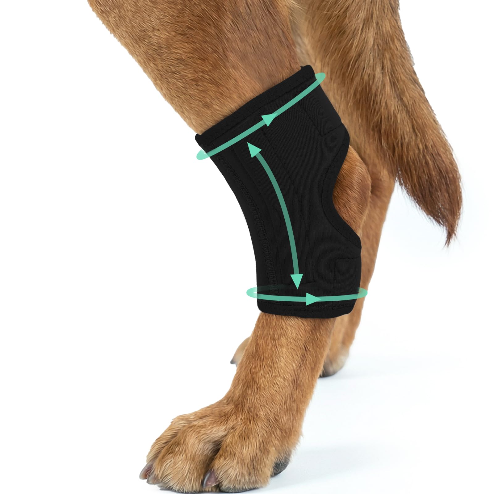 Genouillère pour chien LCA arthrite MIGOHI soutien jarret noir