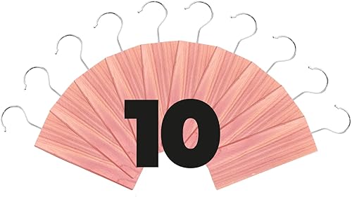 Miniatura 8 de Bloques de cedro para almacenamiento de ropa, evita daños en la ropa, 10 tablones y perchas de cedro fresco para proteger tu ropa