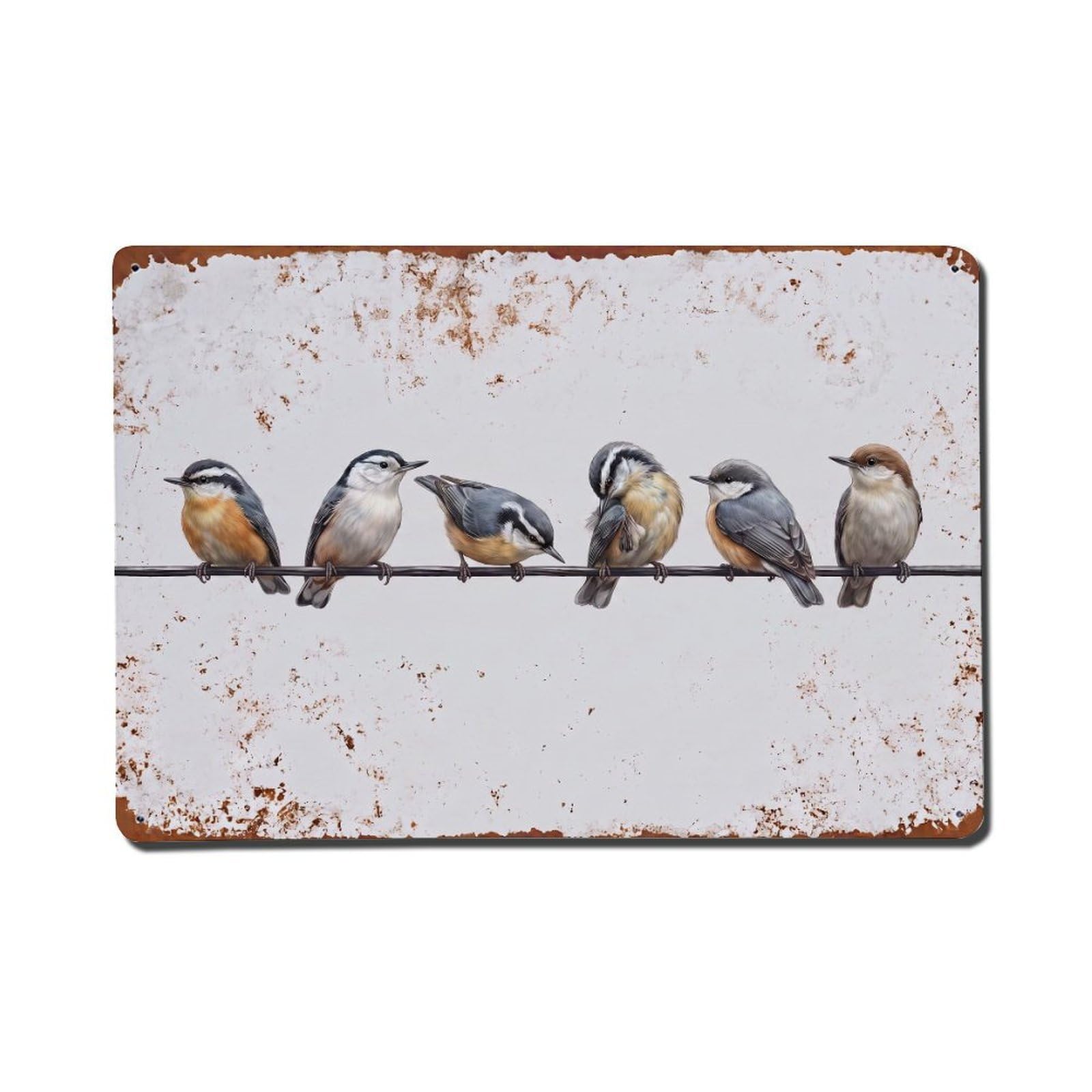 Vintage Retro Birds Nuthatch Metal Tin Sign
