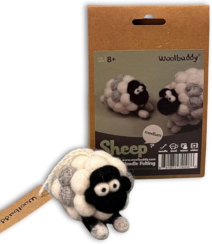 Woolbuddy Kit de fieltro de aguja para principiantes, kit de fieltro de lana para adultos, incluye 2 agujas de fieltro e instrucciones para fotos,