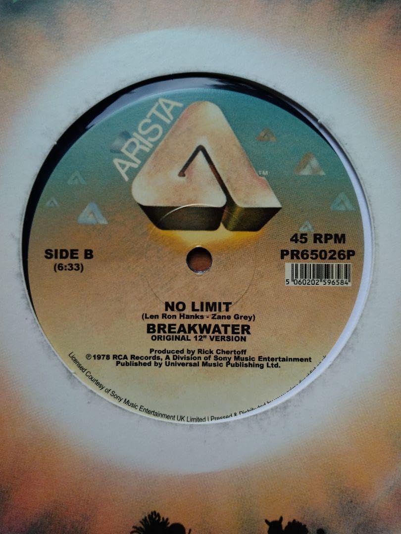 極美品 Breakwater レコード Amazon.co.jp: BREAKWATER NO LIMIT 12インチ レコード : おもちゃ