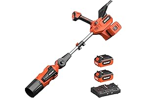 FIILPOW Cordless Leaf Blower, Professional 40V 570CFM High-Power Lightweight Leaf Blower, 6...