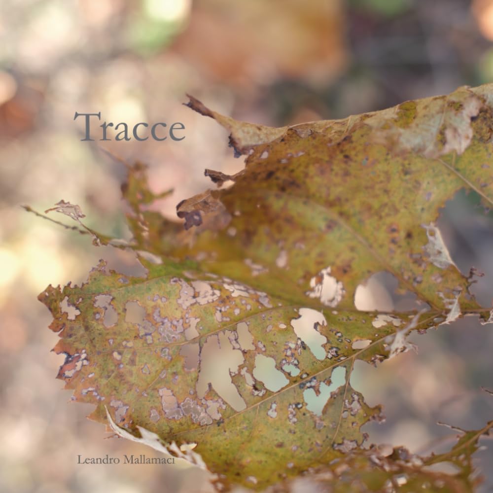 Tracce (Il mondo dentro)