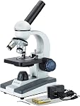 AmScope M150 Microscope monoculaire composé, WF10x Oeil, 40x-400x Agrandissement, LED Illumination, Brightfield, Condenseur mono-Lens, Coeurs et Fine Focus, Stade Plain, 110V