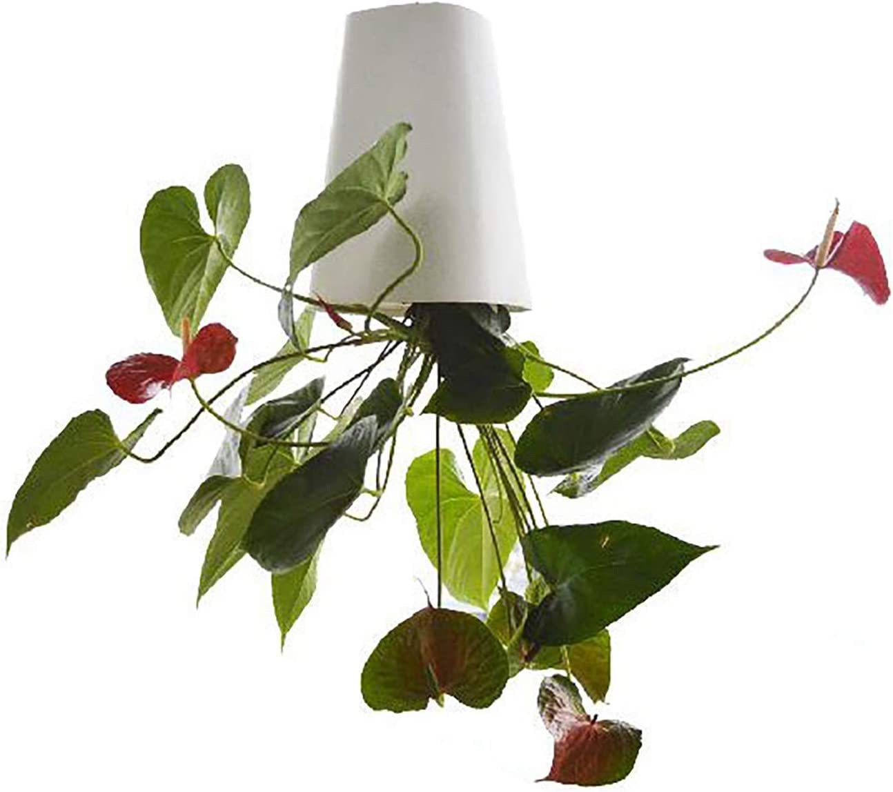 Blossomlife White Indoor Upside Down Planter Hanging Planters Plant Hanger Hanging Pots Plant Holder Hanging Baskets For Plants Home Decor (White)