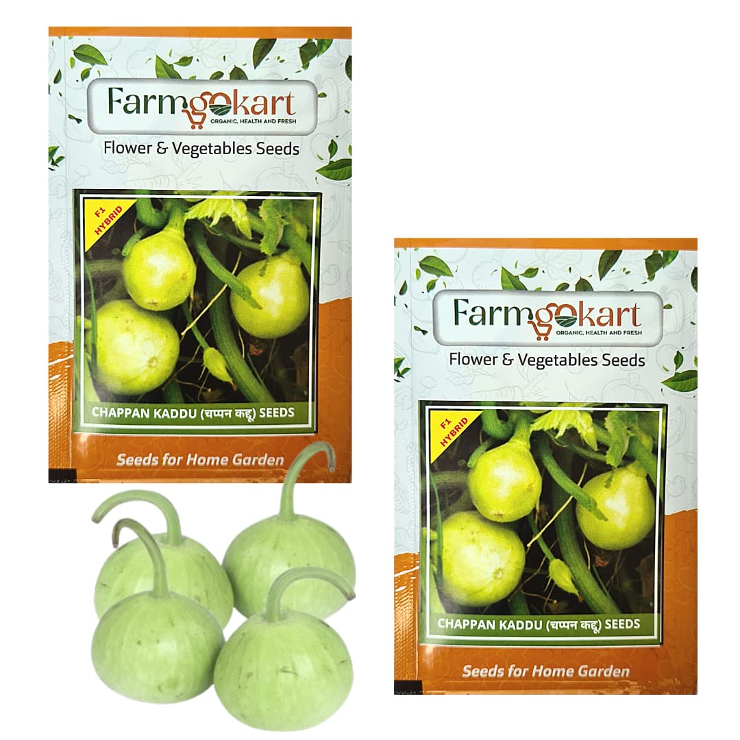 Farmgo ~ CHAPPAN KADDU SEEDS | 2 Packets-10 Seeds per pack | Perfect for home gardens and farms