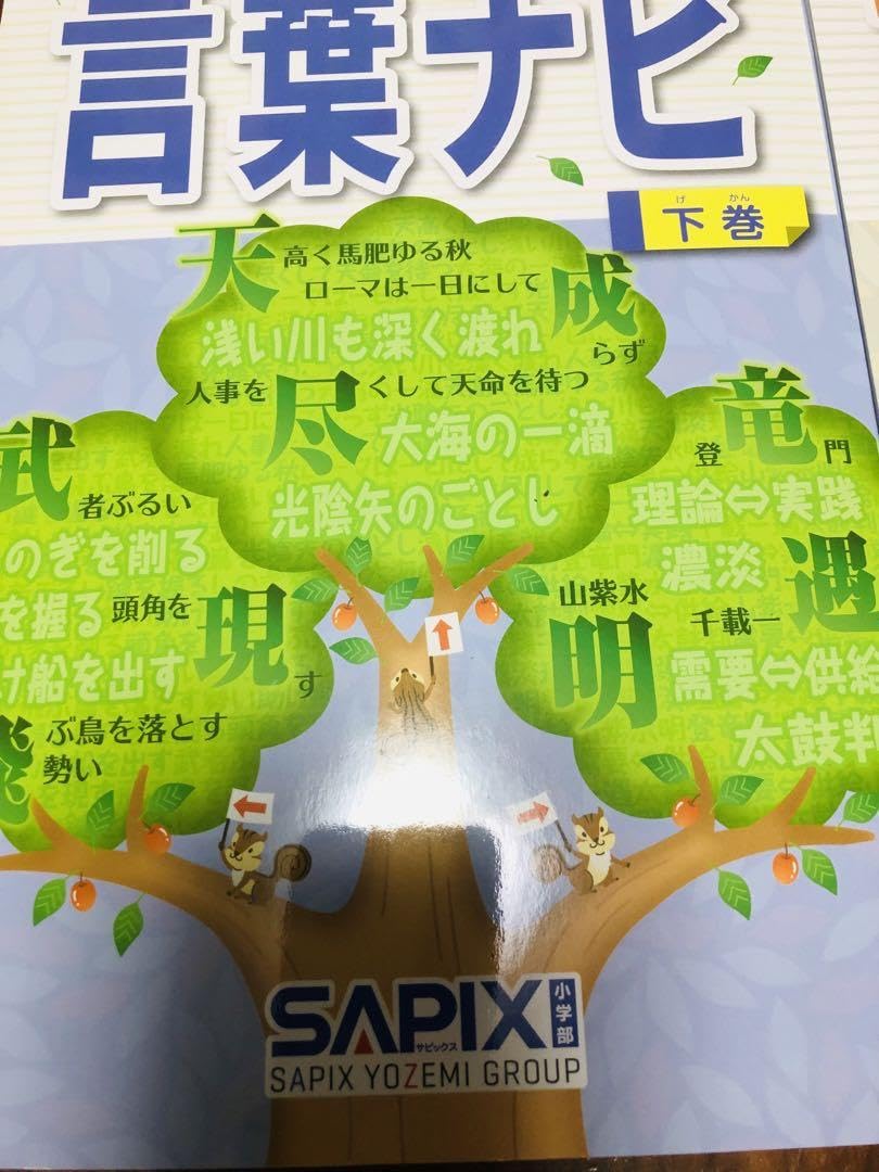 20-22 ❶ サピックス　SAPIX 言葉ナビ　上巻　下巻 重要教材❣️ Amazon.co.jp: 20-22 SAPIX サピックス 言葉ナビ 上巻 下巻 重要